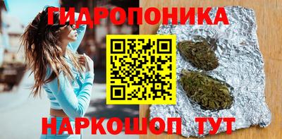 ешки Абакан