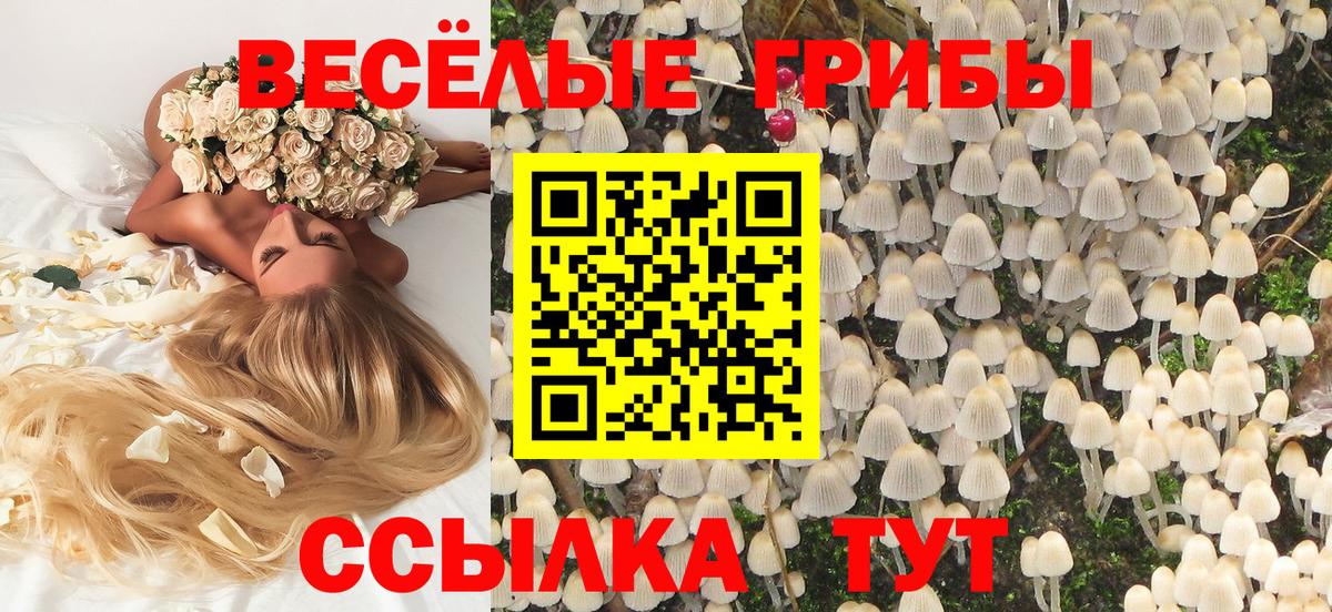 Галлюциногенные грибы мицелий Анапа